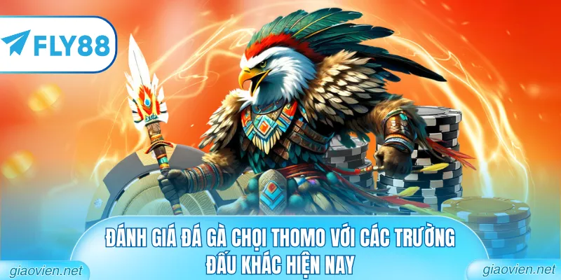 Đánh giá đá gà chọi Thomo với các trường đấu khác hiện nay