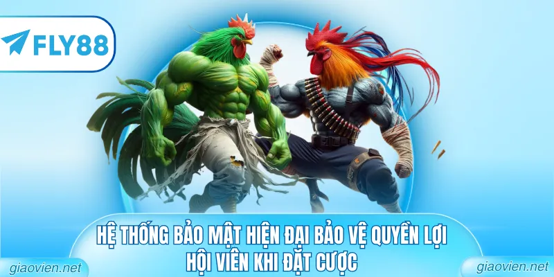 Hệ thống bảo mật hiện đại bảo vệ quyền lợi hội viên khi đặt cược