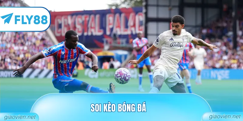 Soi Kèo Bóng Đá Trực Tuyến Cập Nhật Tỷ Lệ Odds Nhanh Nhất 5 Soi kèo bóng đá